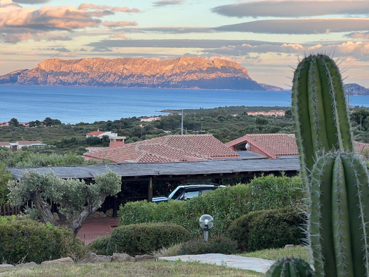 מרינלה Villa A Golfo Aranci Con Vista Su Tavolara מראה חיצוני תמונה